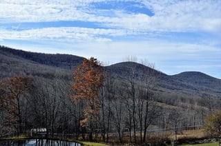 Roxbury maple mountains.jpg